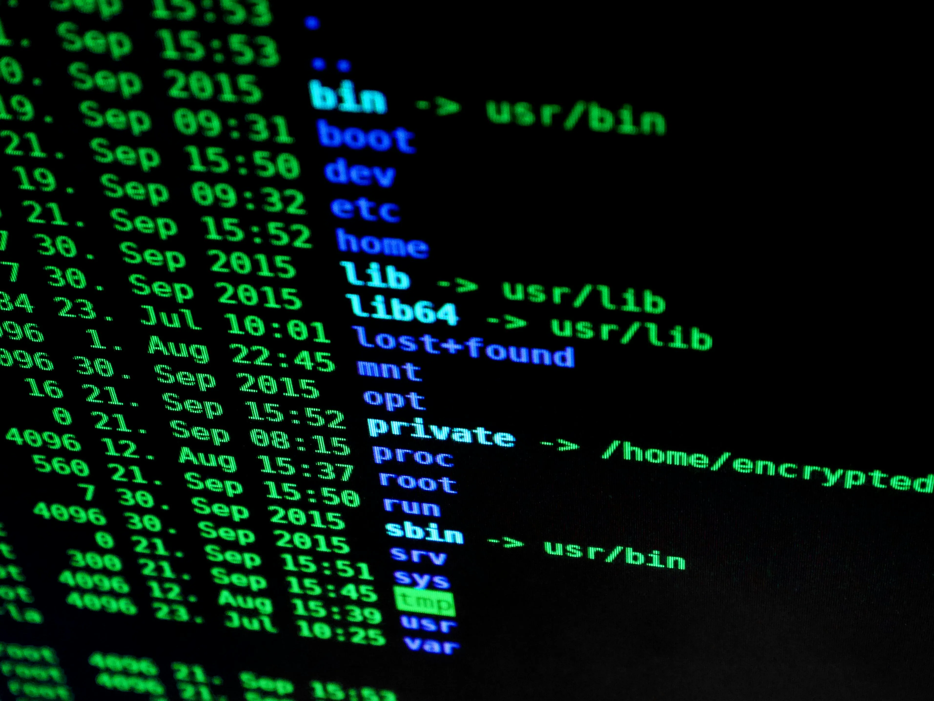 How cyber risk impacts business reputation